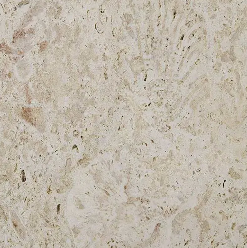 Coral Stone Limestone